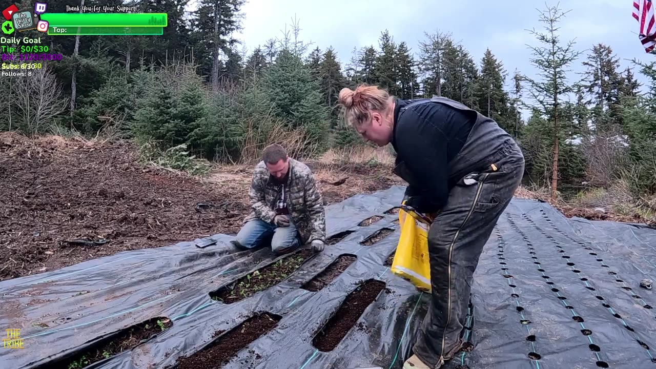 Day 334 Building the FARMSTEAD Isolated ALASKAN Village in the middle of the WOODS Building a Farm | !Real !Homestead