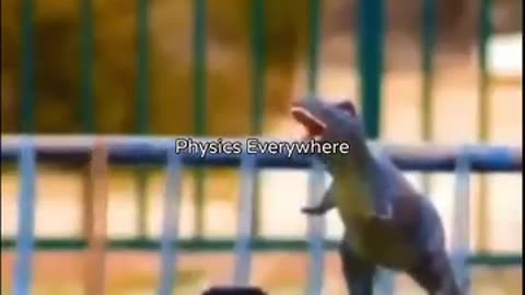 Physics