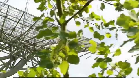 Daily Horoscope | Scorpio 🌟