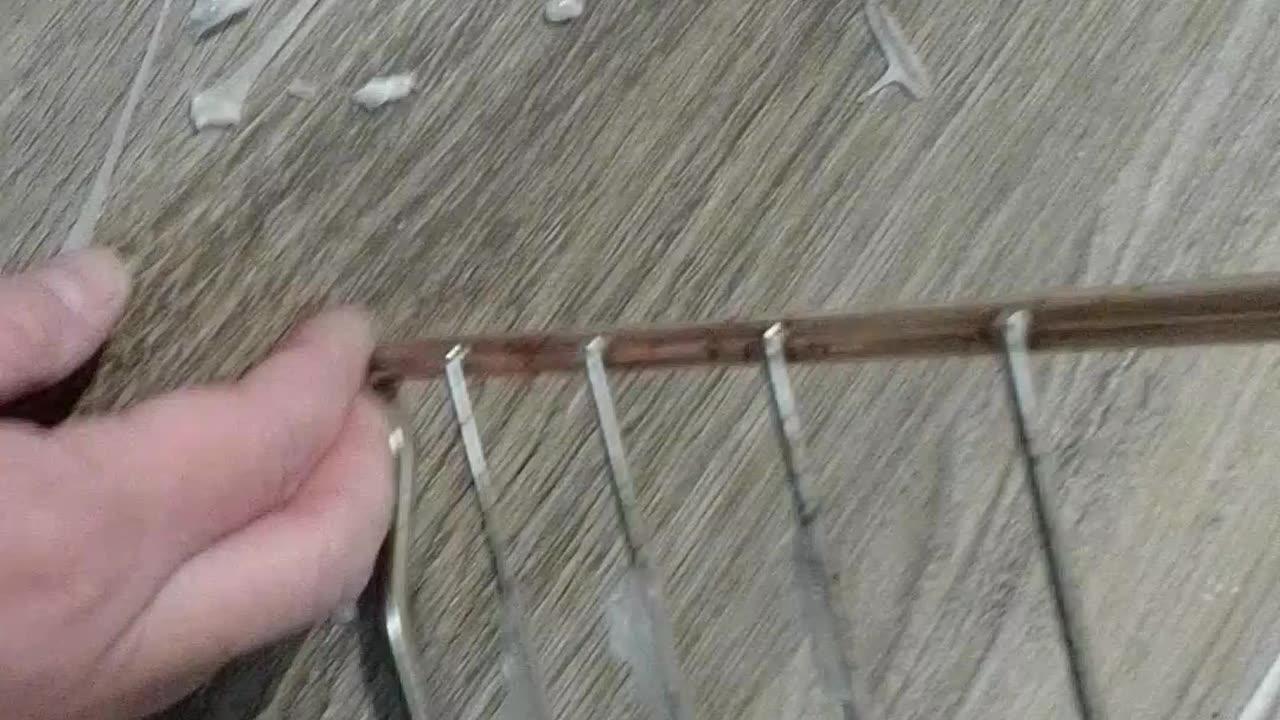 WTF IS THIS KITTY 🐈