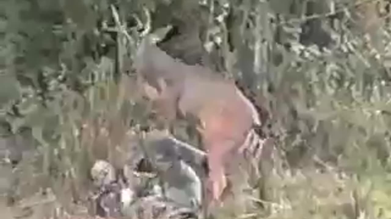 THE TRIALS OF LIFE - DAILY DEVOTIONAL ❤️