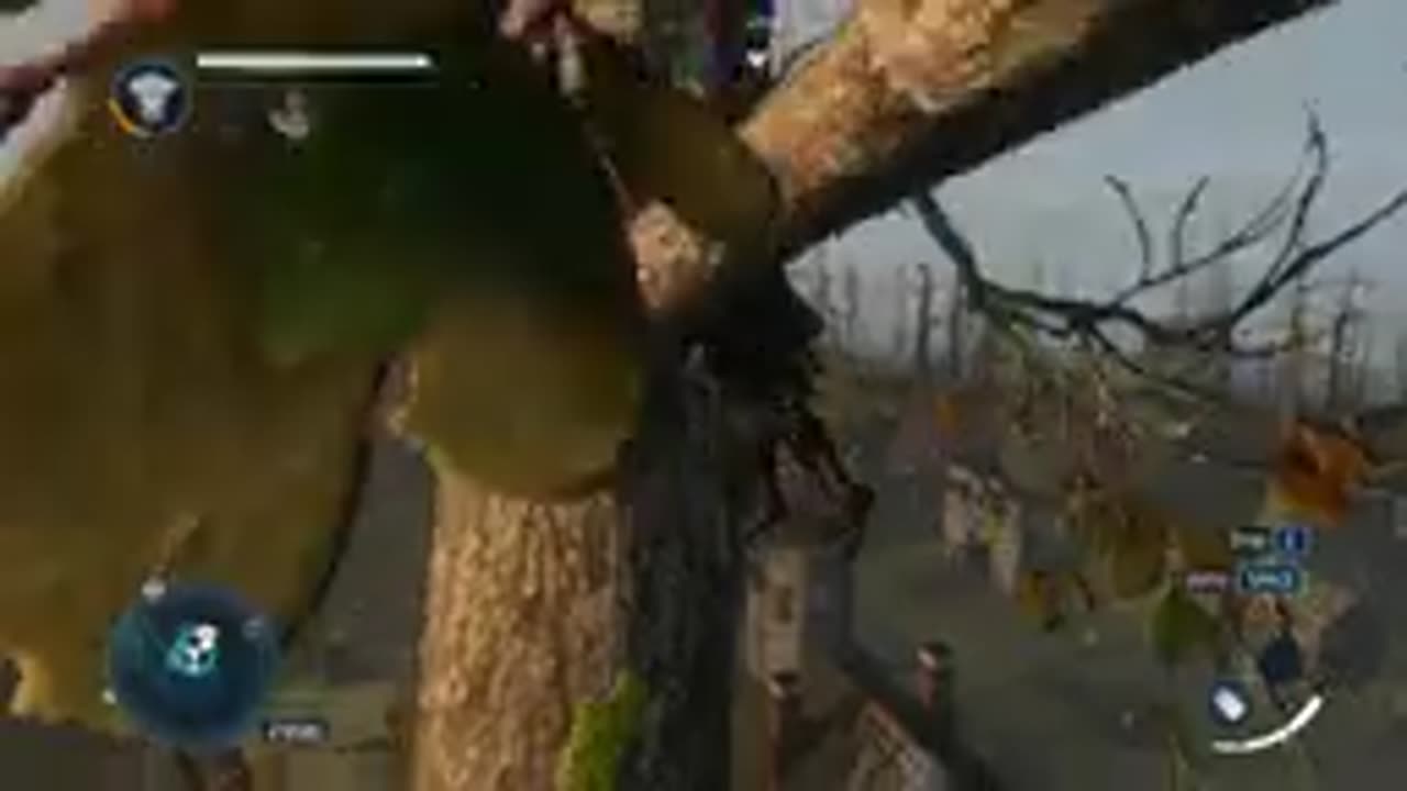 Assassin's Creed Liberation - The Bayou - All viewpoints