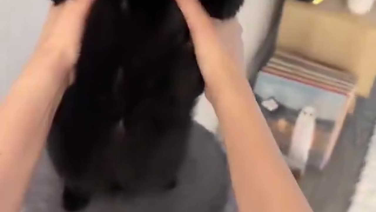 His feet went ⭐️⭐️