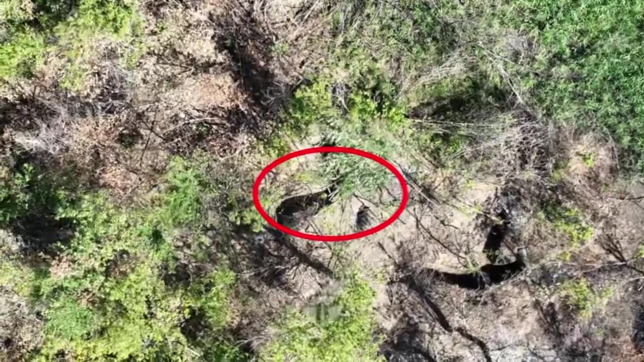 Relentless Drone Strikes Shredding Russian Infantry