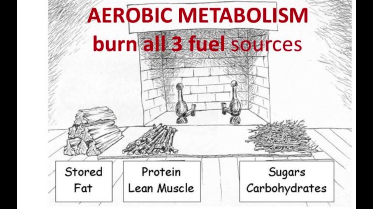 Are You Doing Your Aerobic Workout...Too FAST?