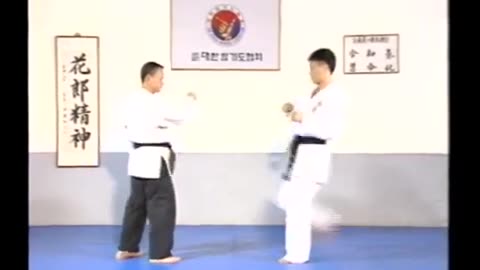 Hapkido