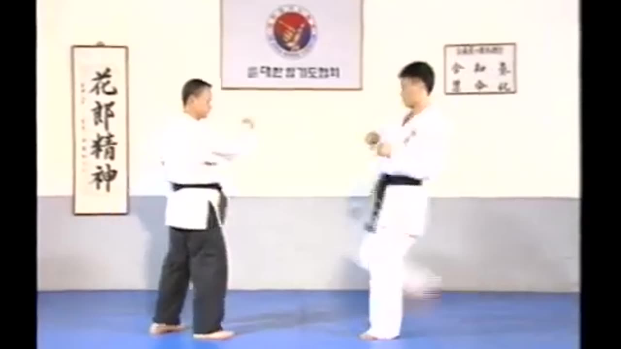 Hapkido