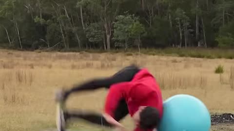 Parkour of Animal