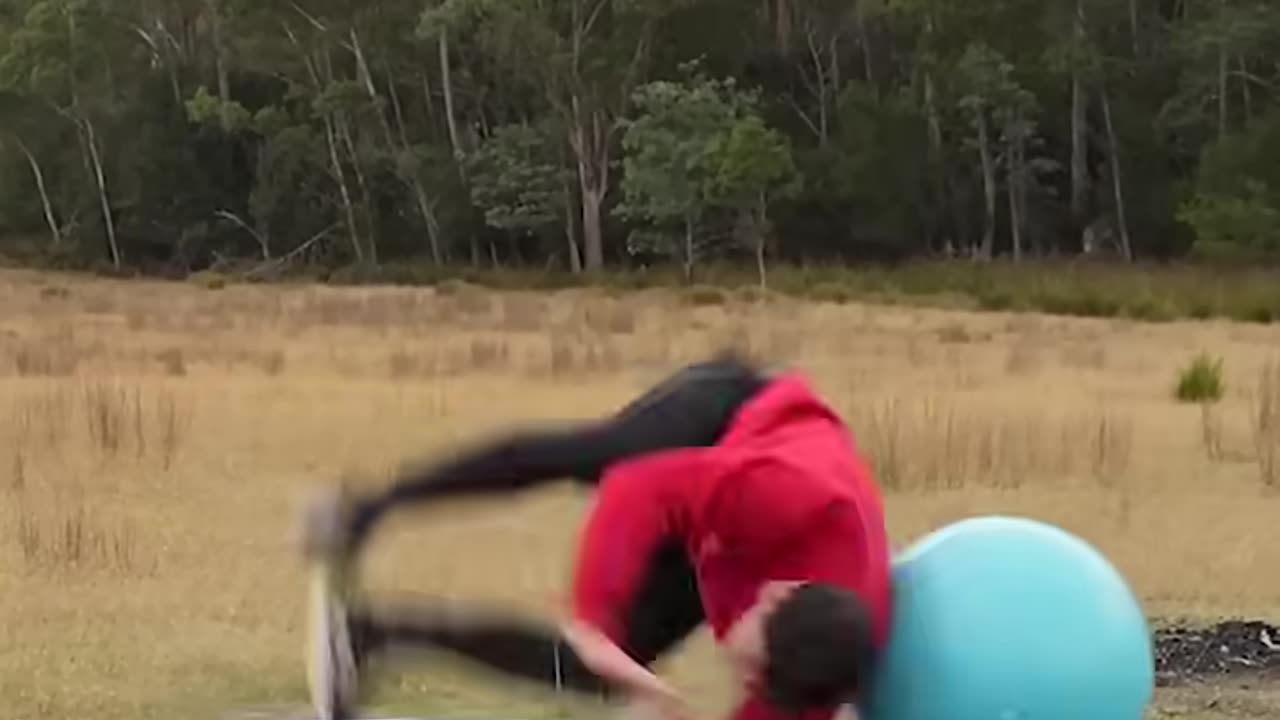 Parkour of Animal
