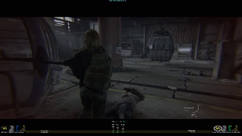 The Last of Us Part II Remastered 21:9 4k HDR PC Gameplay 9800x3d RTX 4080 Super NO DLSS or FG