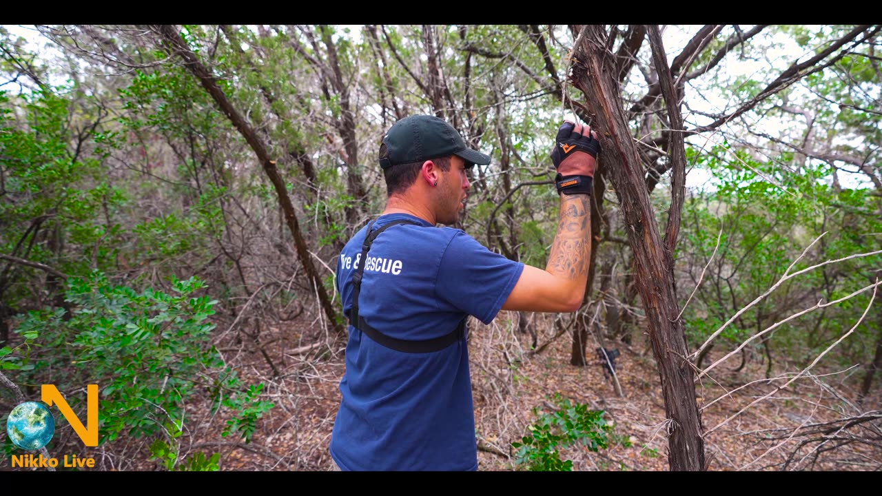 I Survive Deadly Wilderness...