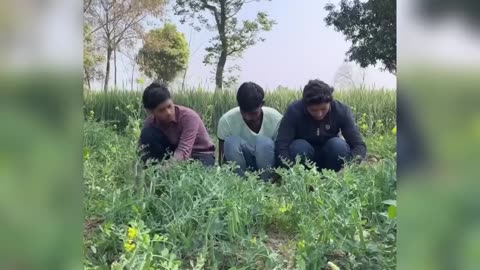 New Funny Video। Trending Funny Video। New Instagram Funny Video। New Comedy Video। Viral Video