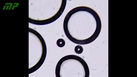 Анализ под оптическим микроскопом вакцины против кори.