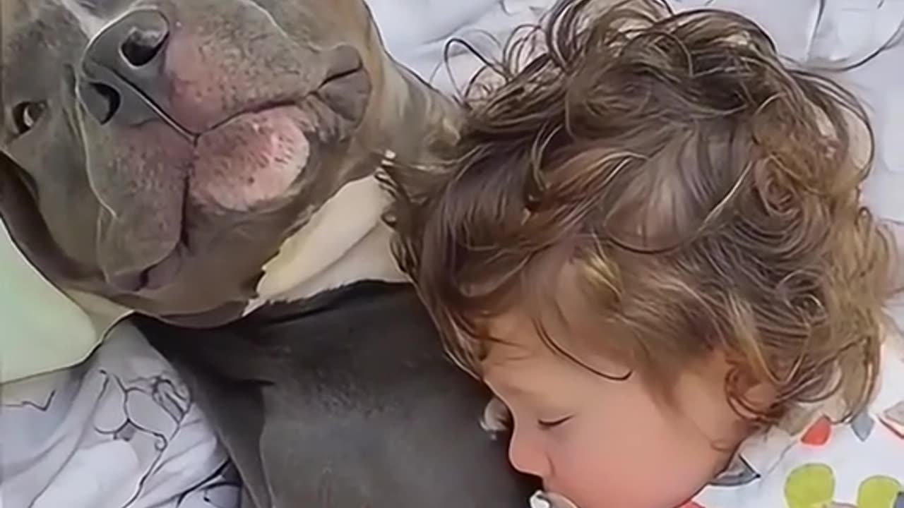 Cute and funny