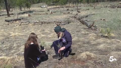 Middle schoolers plant new life in Black Forest burn scar