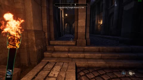 The Elder Scrolls IV - Oblivion Remastered - NPC Fight 1