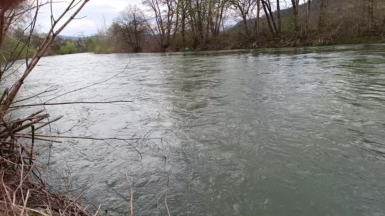 River Nature #nature