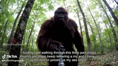 COMEDY BREAK ** ADULTS ONLY **BIGFOOT Big Foot Yeti Viral Tik Toks and Shorts