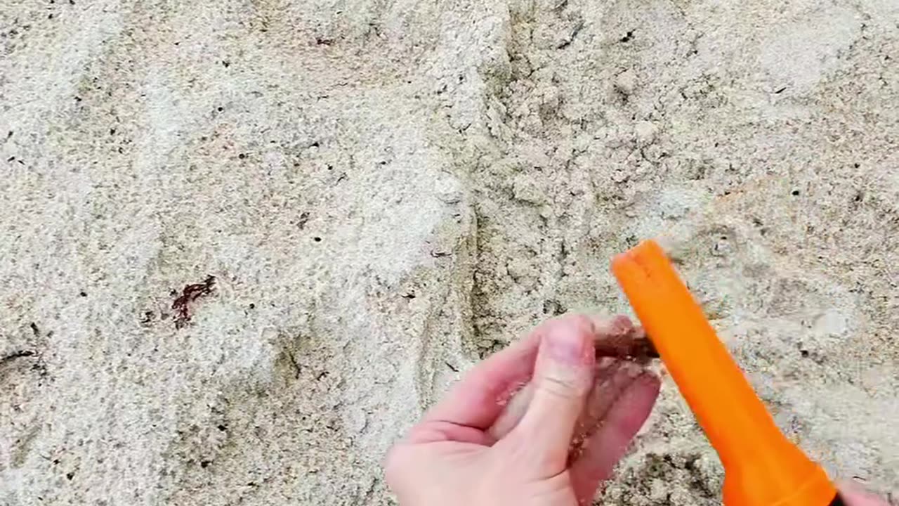 Digging everything with my metal detector at the beach looking for treasure in the wet sand