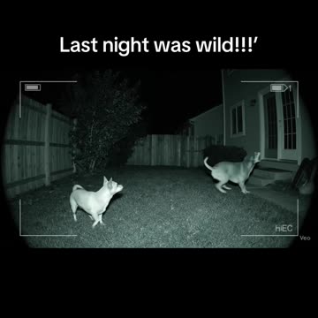 Signs and Wonders ‼️📖⏳🗞️📹🎥