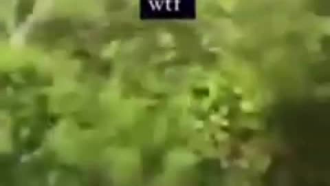 There Was Supposed To Be A Fight But Instead They Caused A Shooting