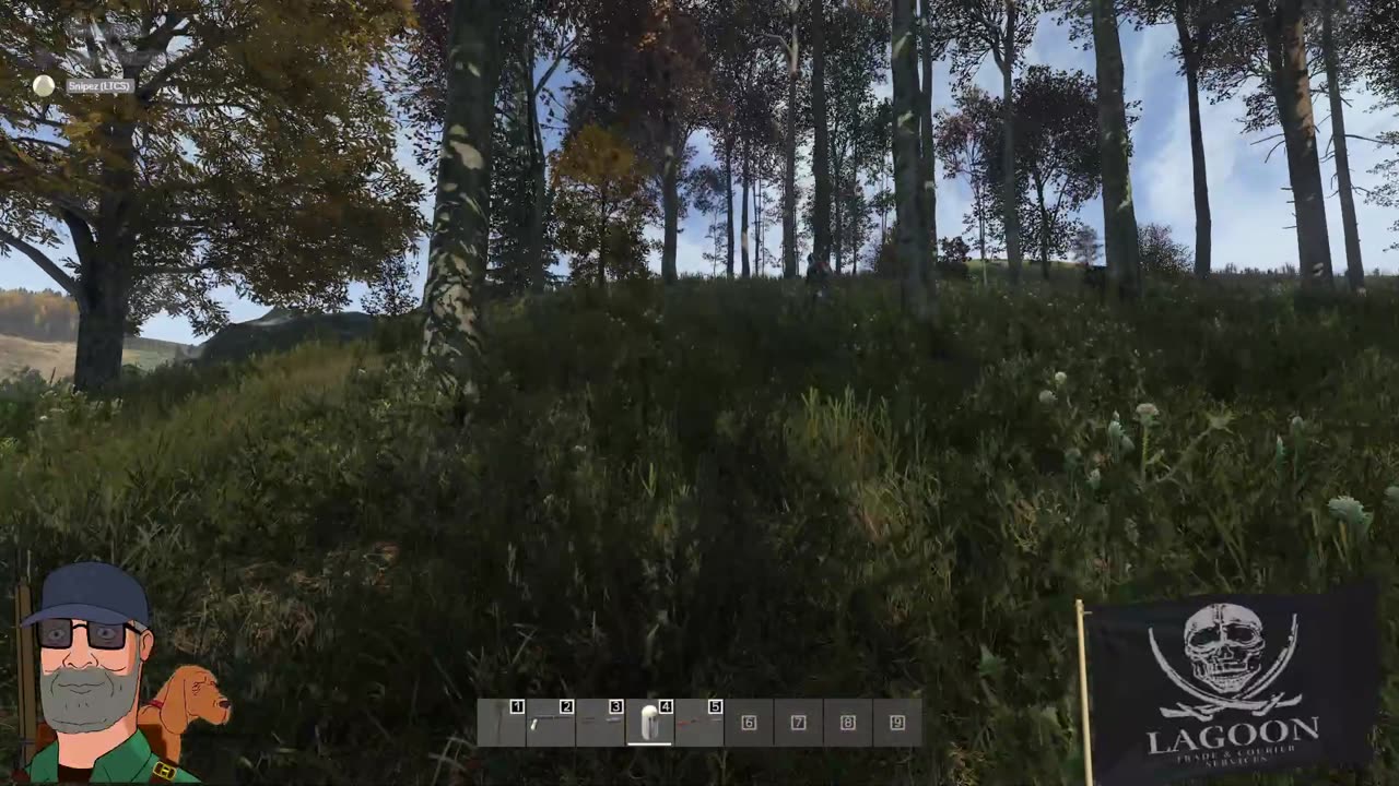 DayZ with the Lagoonies