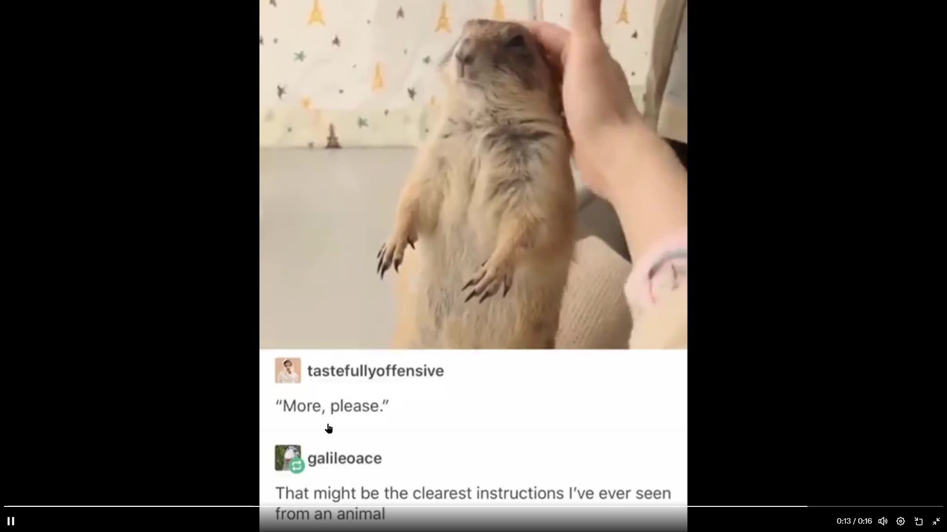 Quick Smile - do that again human. Dont stop