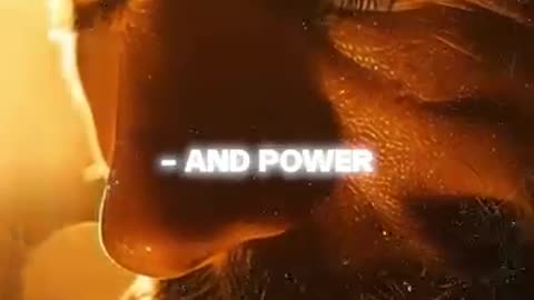 The POWER of the Holy Spirit in Your Life!