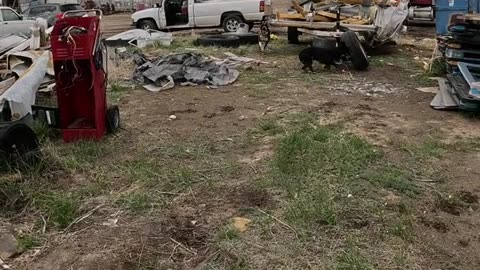 🐕Dont-Tell❤️Shepherd🐕‍🦺 #dogshorts #doglife