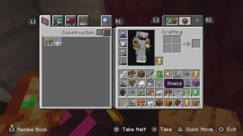 Minecraft Bedrock Wither Skull Hunt Nearly BROKE Me