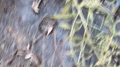 FORGOTTEN GRAVEYARD: Chickasha, OK