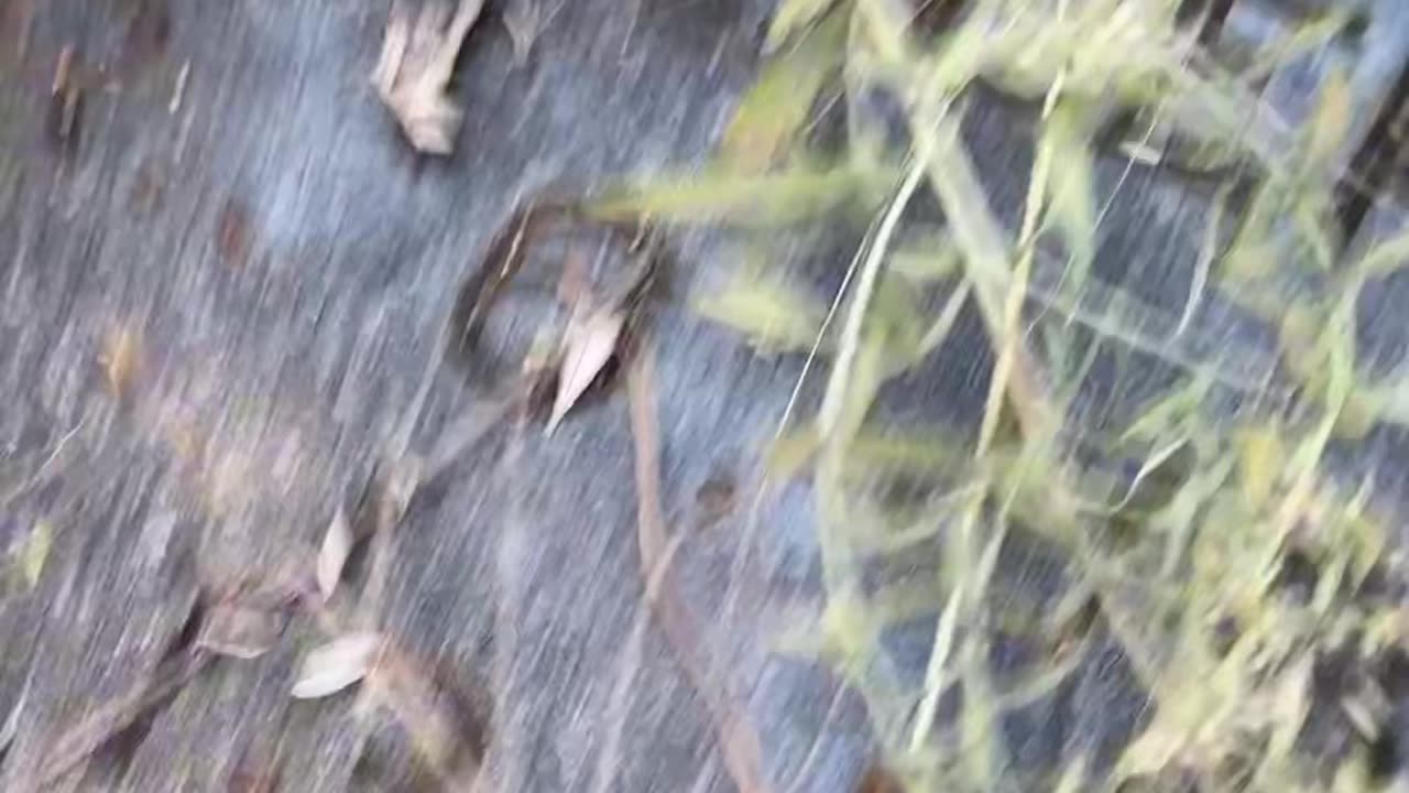 FORGOTTEN GRAVEYARD: Chickasha, OK