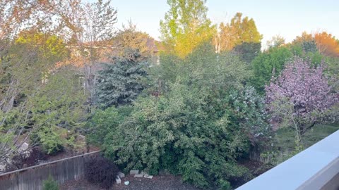 Nice day outside