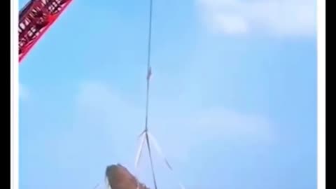 Recovering a WWII airplane cost 2 million