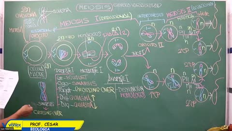 VONEX REPASO 2025 | Semana 04 | Biología S2