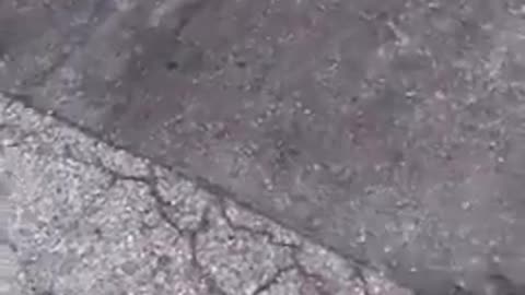 Thief forgets to close the car door....she flies out