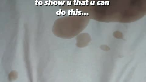 What did i show him? watch