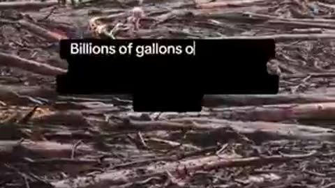 Let's Just Forget about these people like North Carolina