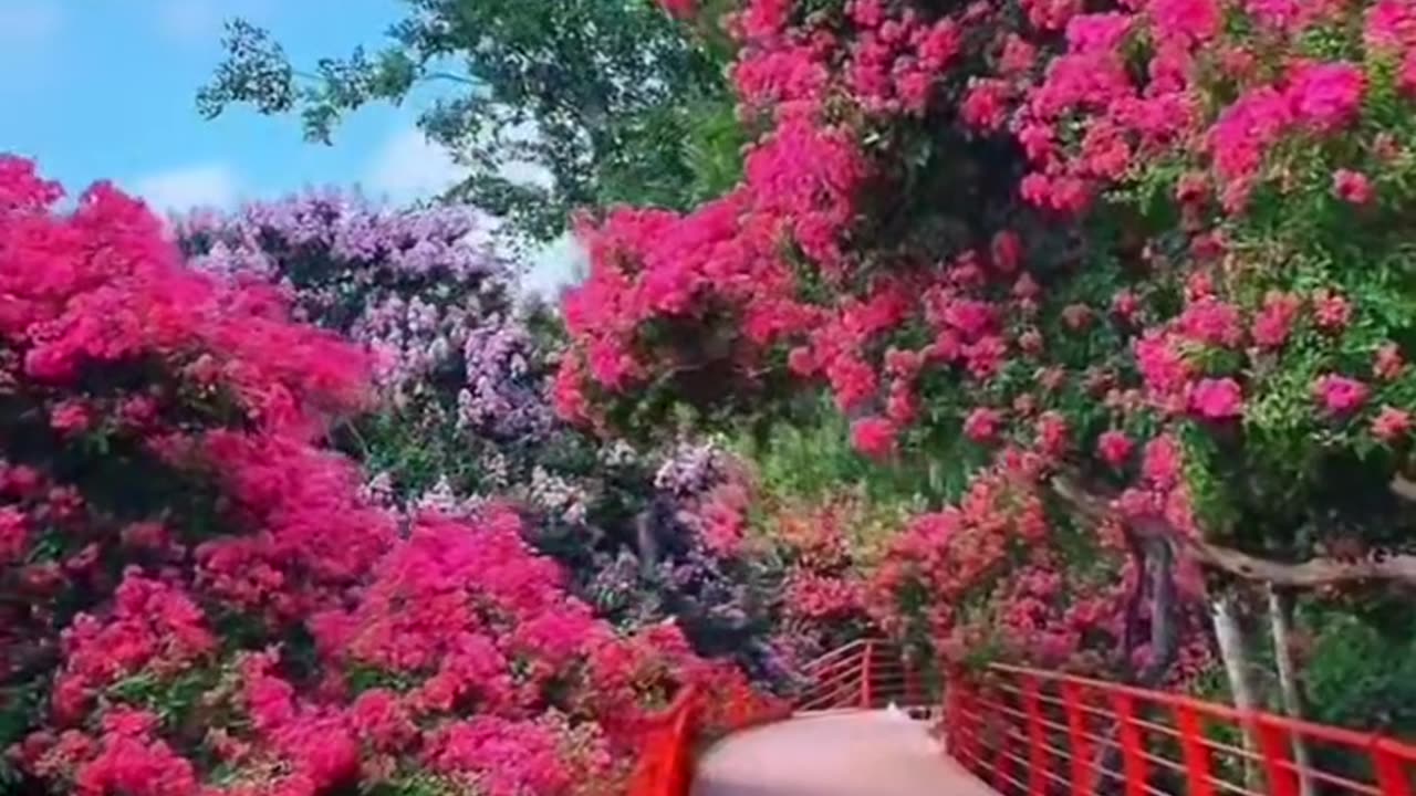 Beautiful