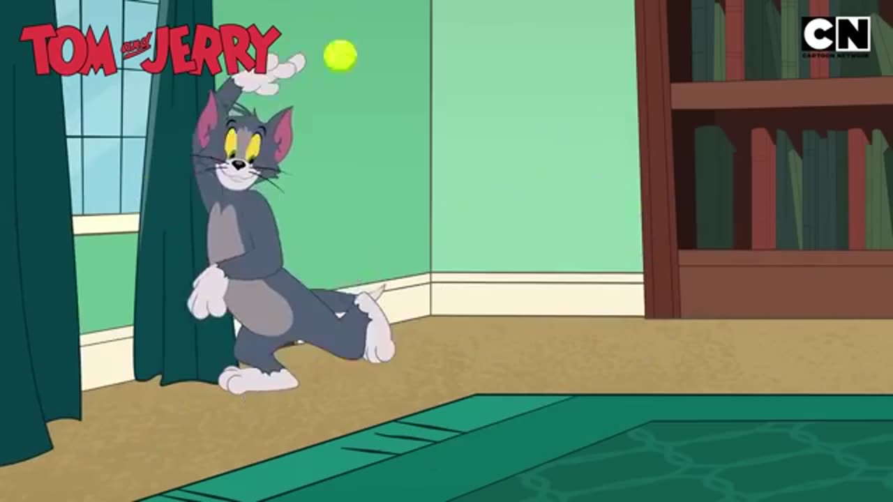 Tom and Jerry 😺🐭| Napoli’s Most Unwanted Tourists! | Cat & The Mouse 😍| Cartoon Videos