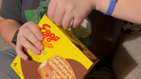 Eggo ICE Cream Sandwich