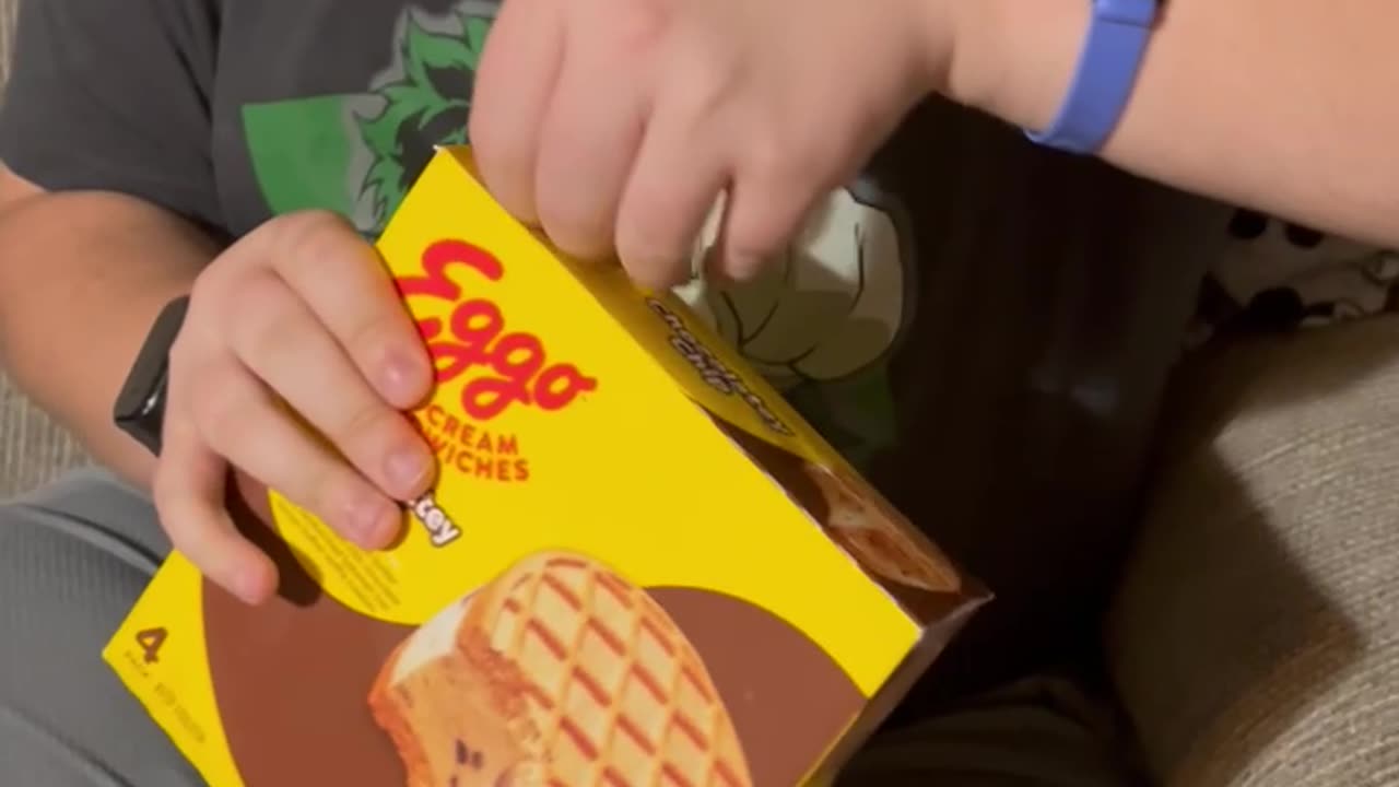 Eggo ICE Cream Sandwich