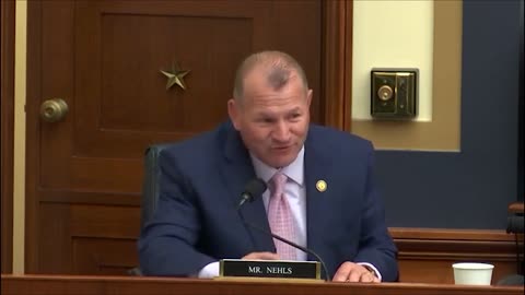 Rep. Troy E. Nehls Questions Witness Panel at Antitrust Subcommittee Hearing