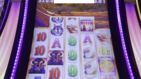 Buffalo Bonus 43 Free Games! 🤩🎰💥👀
