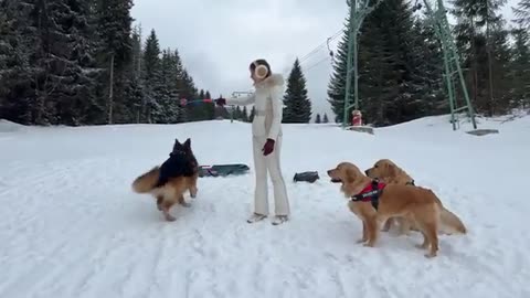 How My Dogs Spent The Last Day Of Winter Best Day Ever