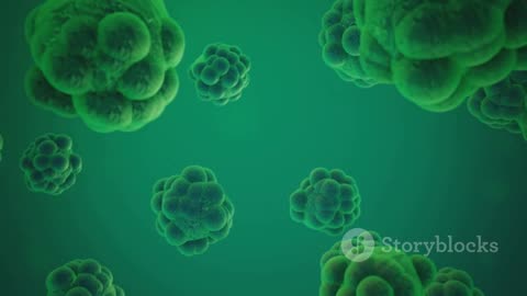SEPTIFIX Review: The #1 Septic Tank Treatment That Actually Works!