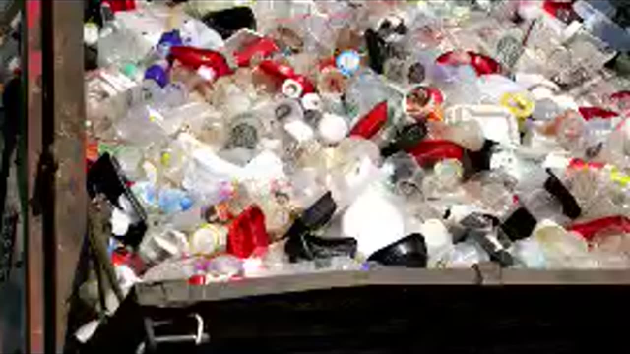 One & Done No More: The Case for a Global Single-Use Plastic Ban