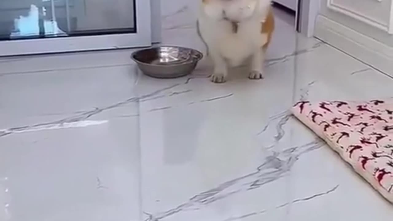 😱💔 Wait For The Shocking Betrayal Moment! | FunFM