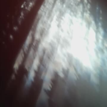 LIGHT OF SHADOW SILOUHETTED THROUGH WINDOW 🏹☢️🙈