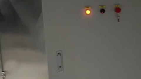 mesh belt dryer